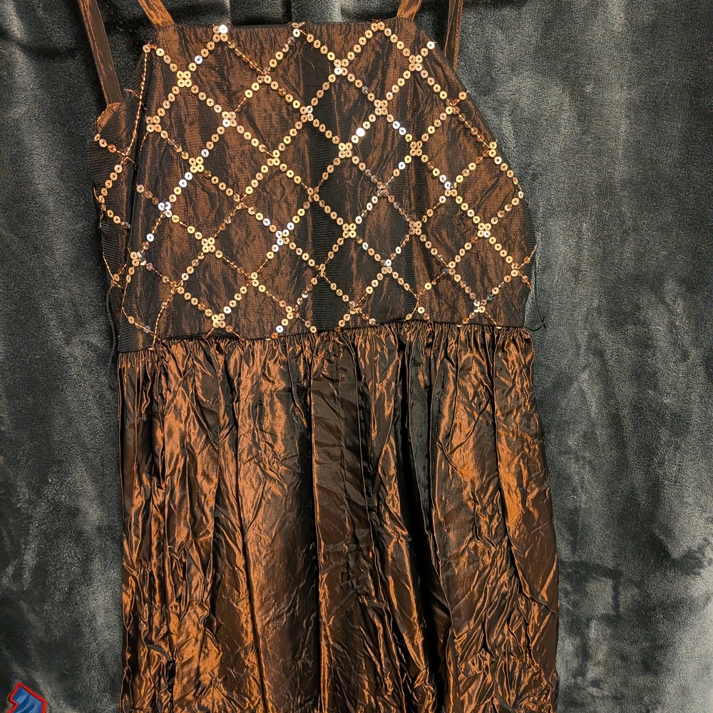 Plum Pudding Brown Sequin Dress